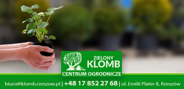 Środki ochrony roślin na wiosnę