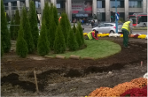 Trawniki z rolki Rzeszów